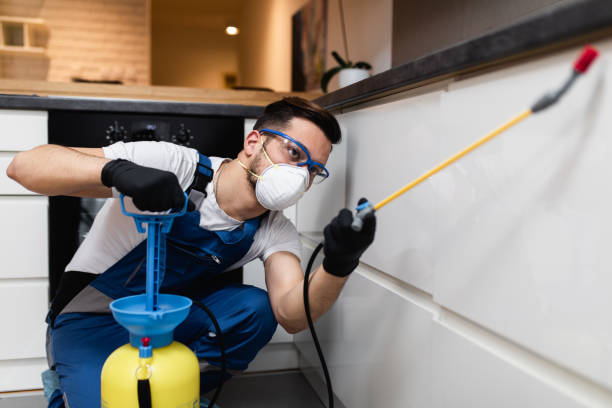 Best Mosquito Control Services  in Bunker Hl, IL