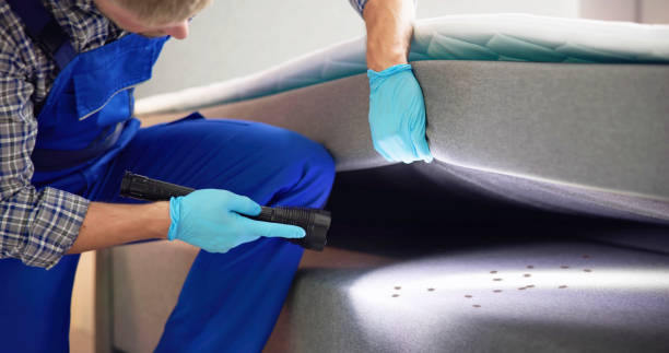 Best Termite Control Services  in Bunker Hl, IL