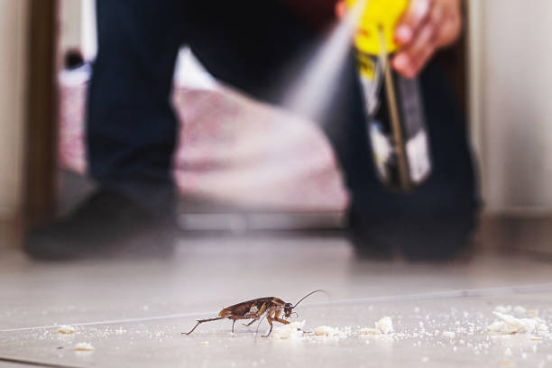 Best Emergency Pest Control  in Bunker Hl, IL