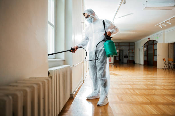 Best Affordable Pest Control Services  in Bunker Hl, IL