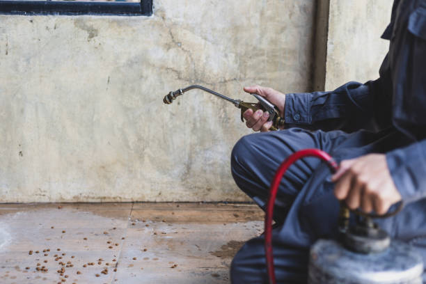 Best Pest Inspection Near Me  in Bunker Hl, IL
